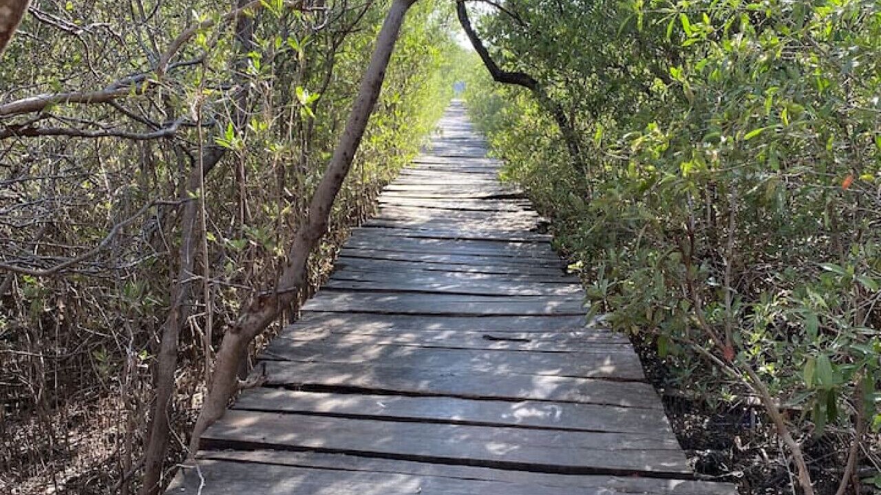 Photo of Outdoor in Tamarindo