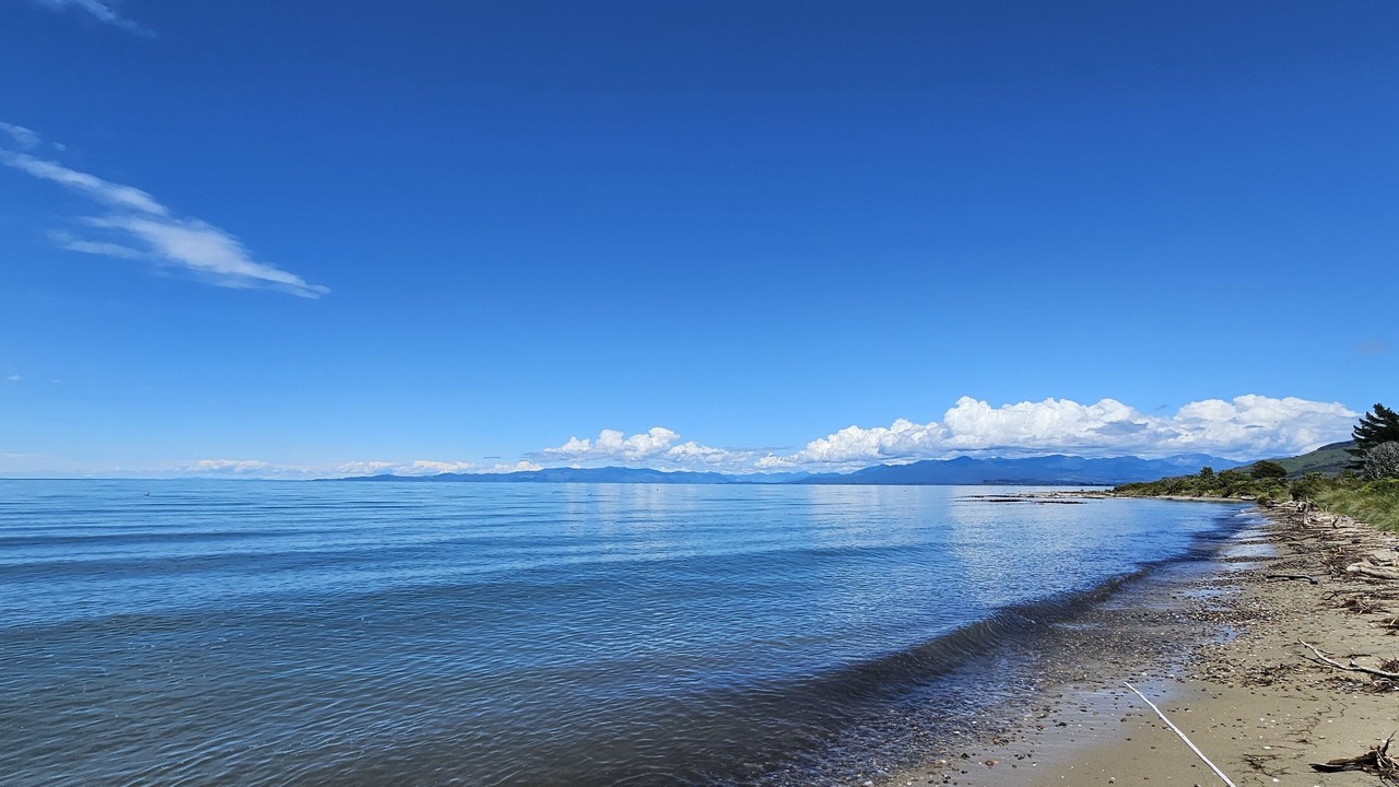 Photo of Others in Pakawau