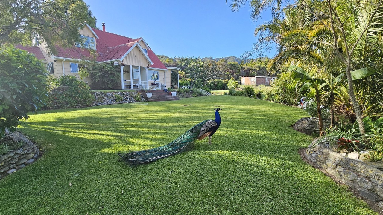 Photo of Others in Pakawau