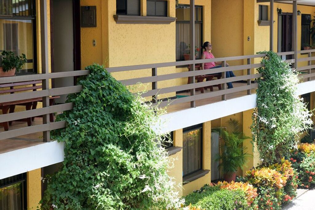 Photo of Outdoor in San Pedro