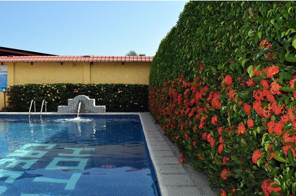 Photo of Outdoor in San Pedro