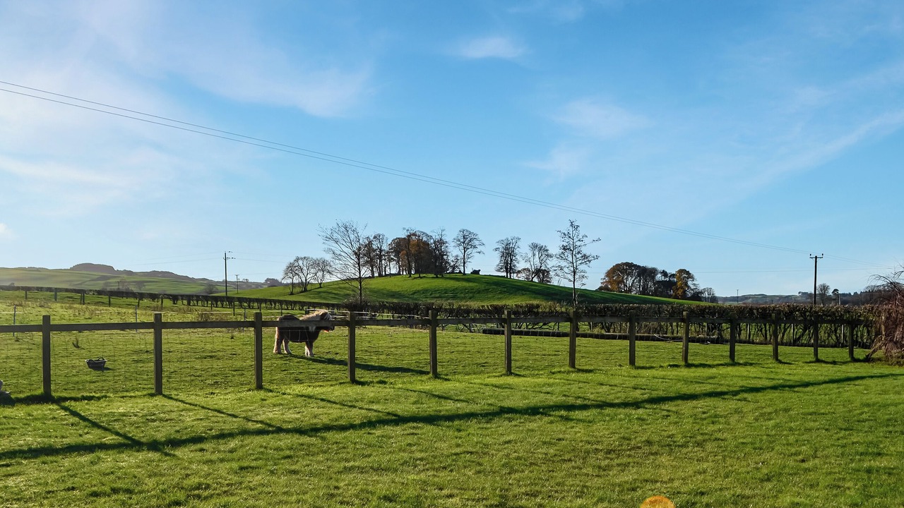 Photo of Outdoor in Castle Douglas