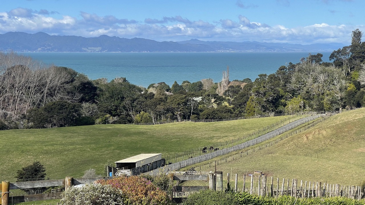 Photo of Outdoor in Whakatiwai