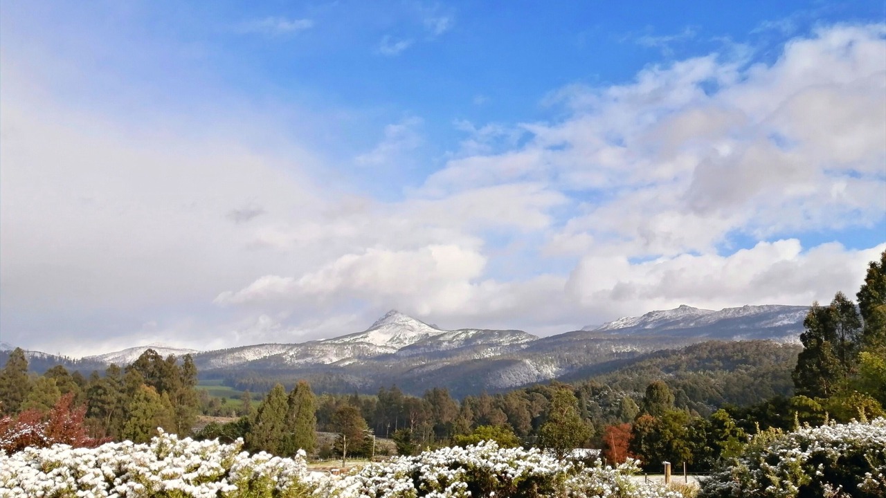 Photo of Outdoor in Maydena