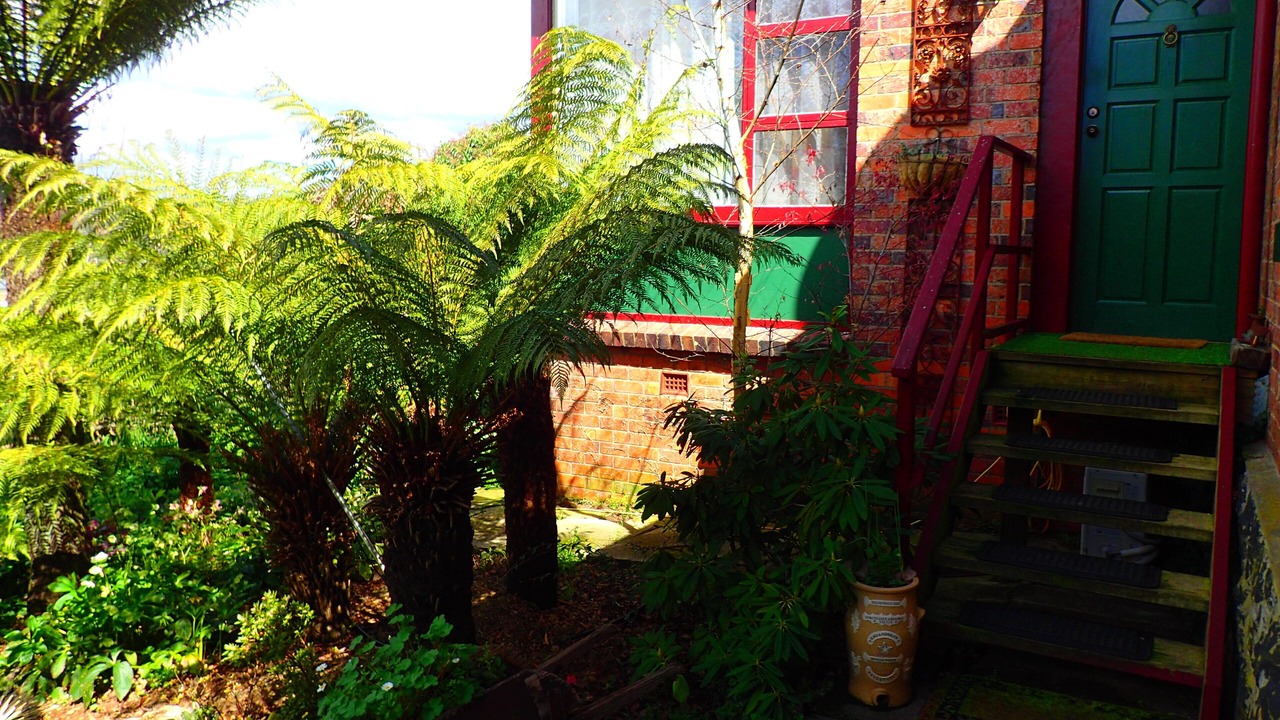 Photo of Bedroom in Deloraine