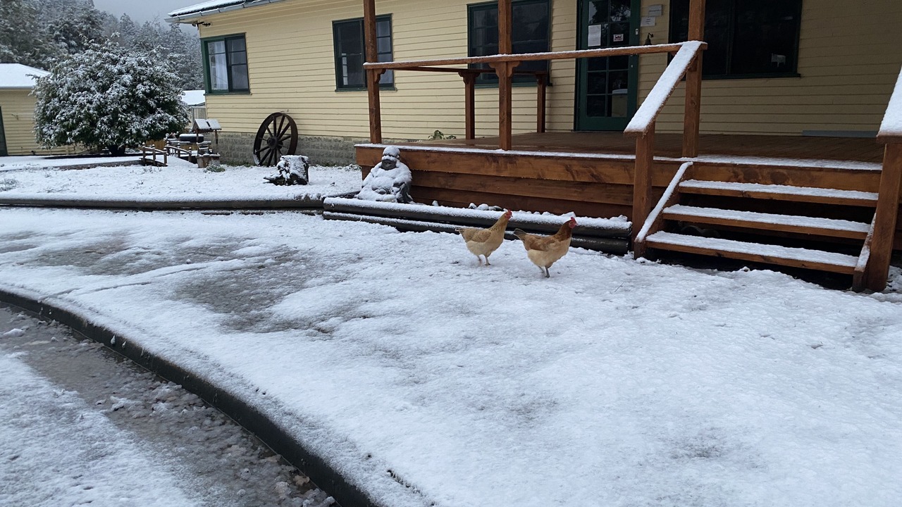 Photo of Outdoor in Maydena