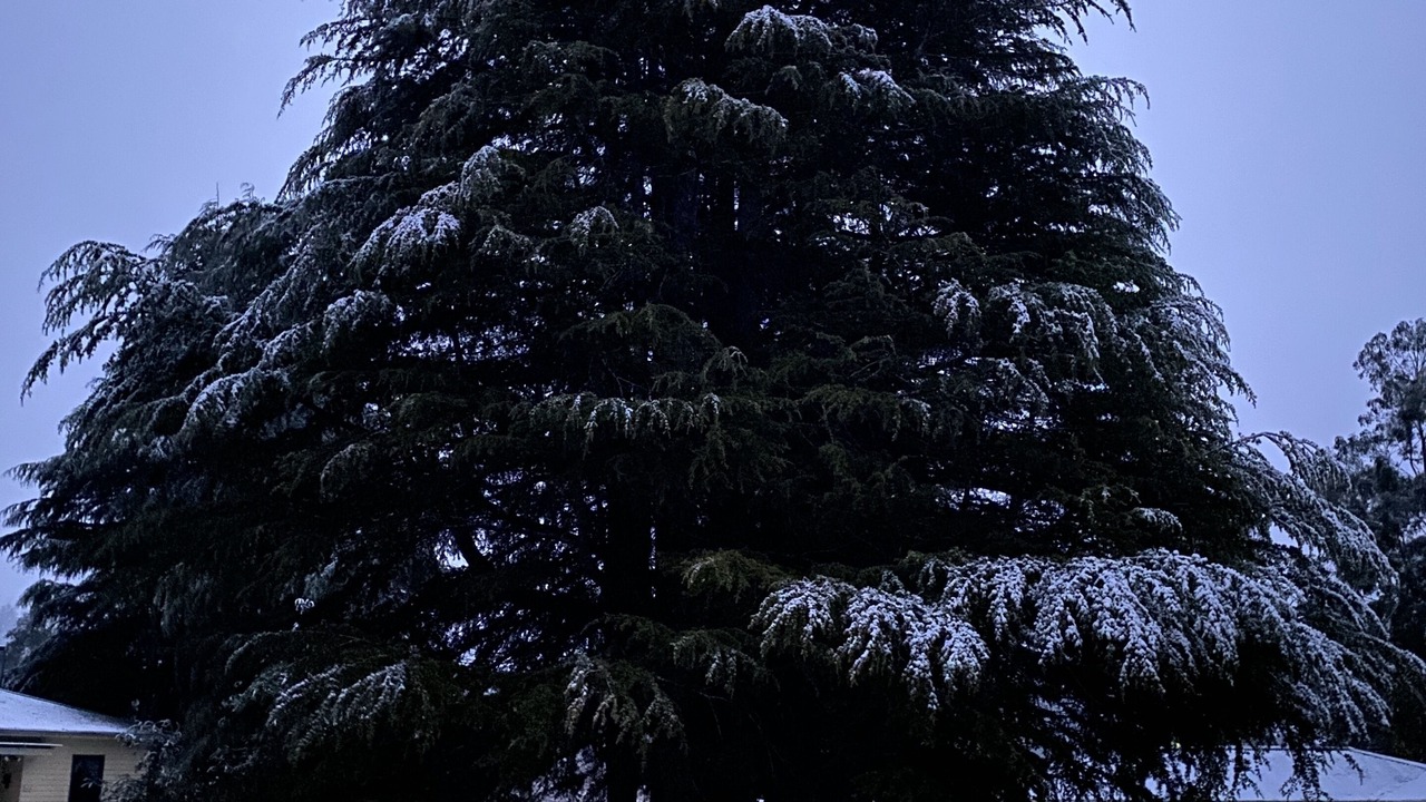Photo of Outdoor in Maydena