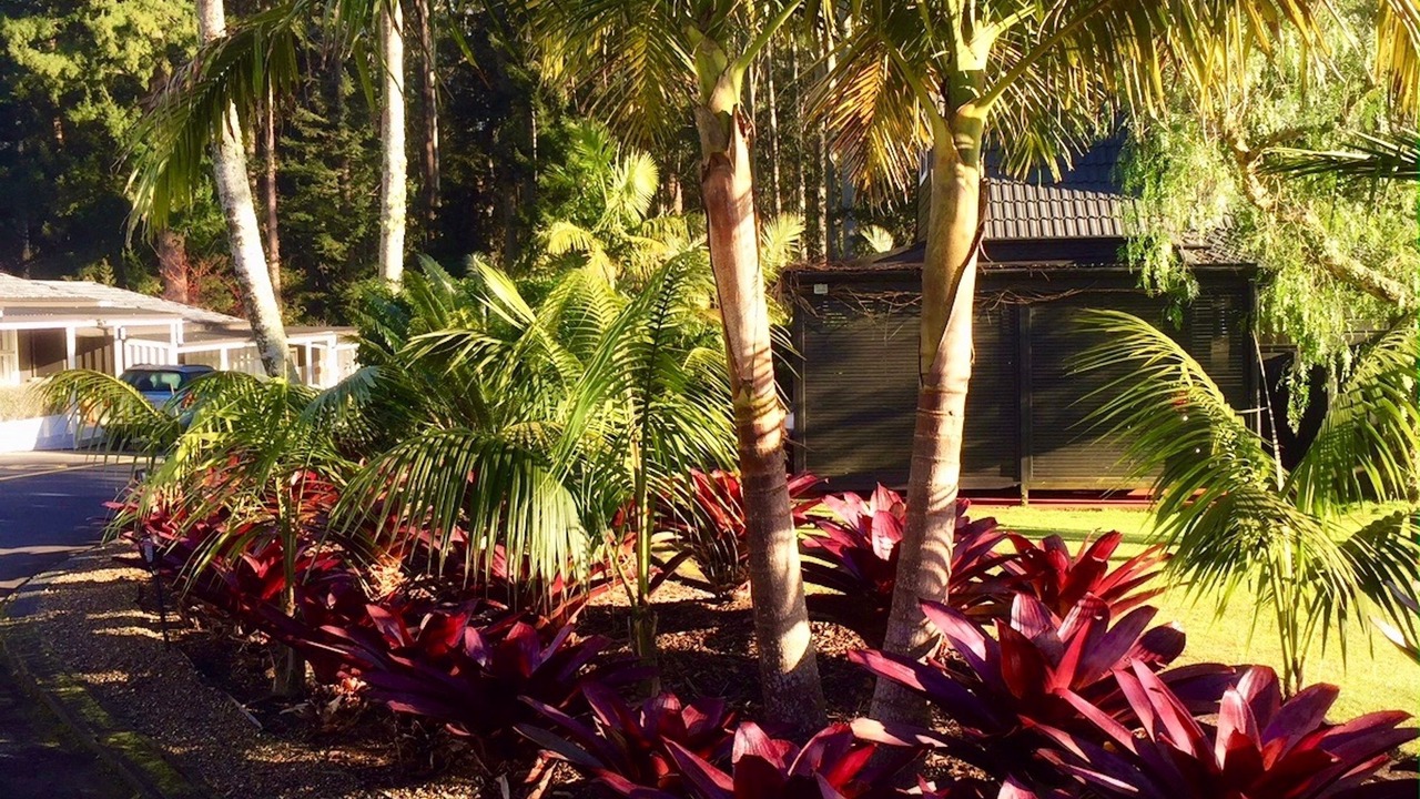 Photo of Others in Kerikeri