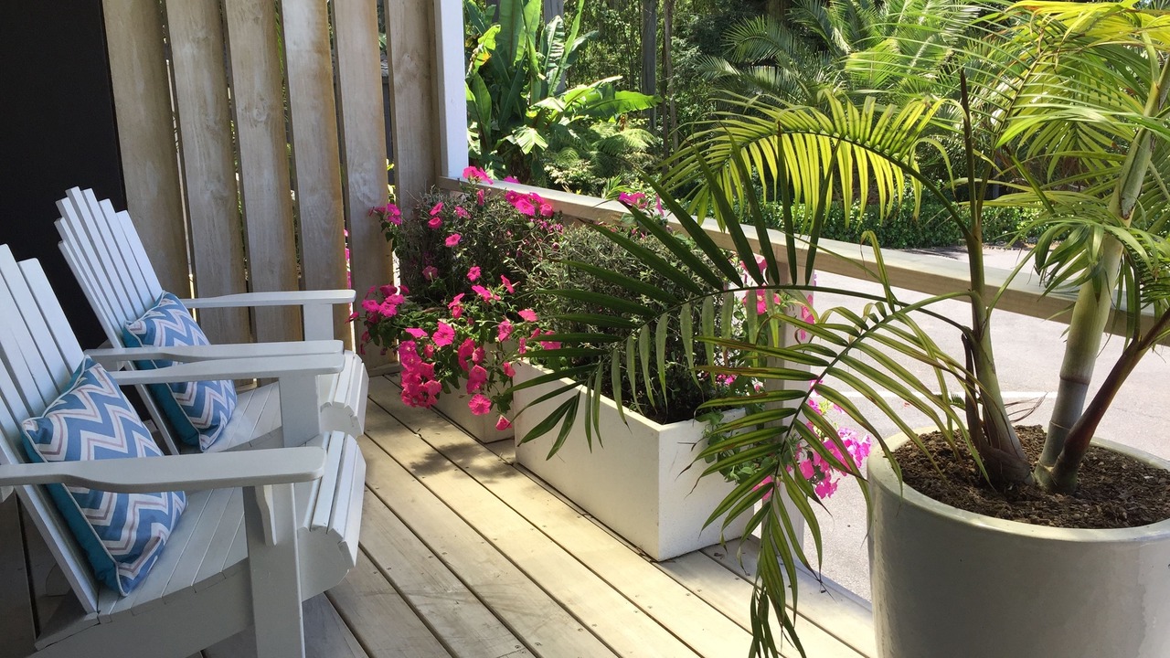 Photo of Patio Balcony in Kerikeri