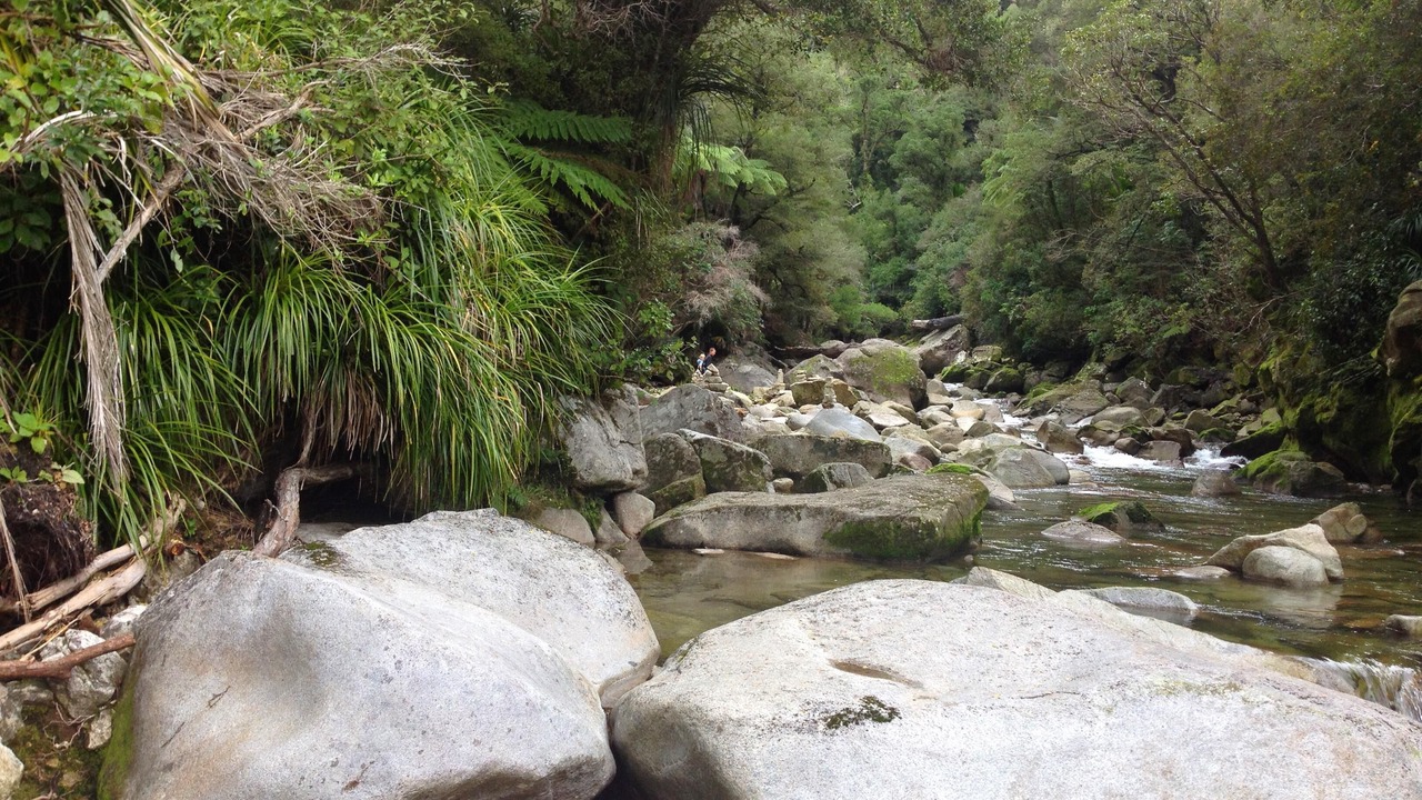 Photo of Outdoor in Parapara