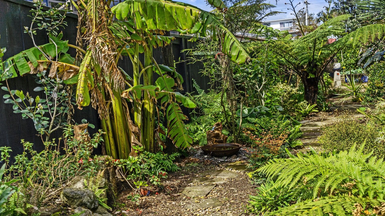Photo of Outdoor in Papamoa Beach