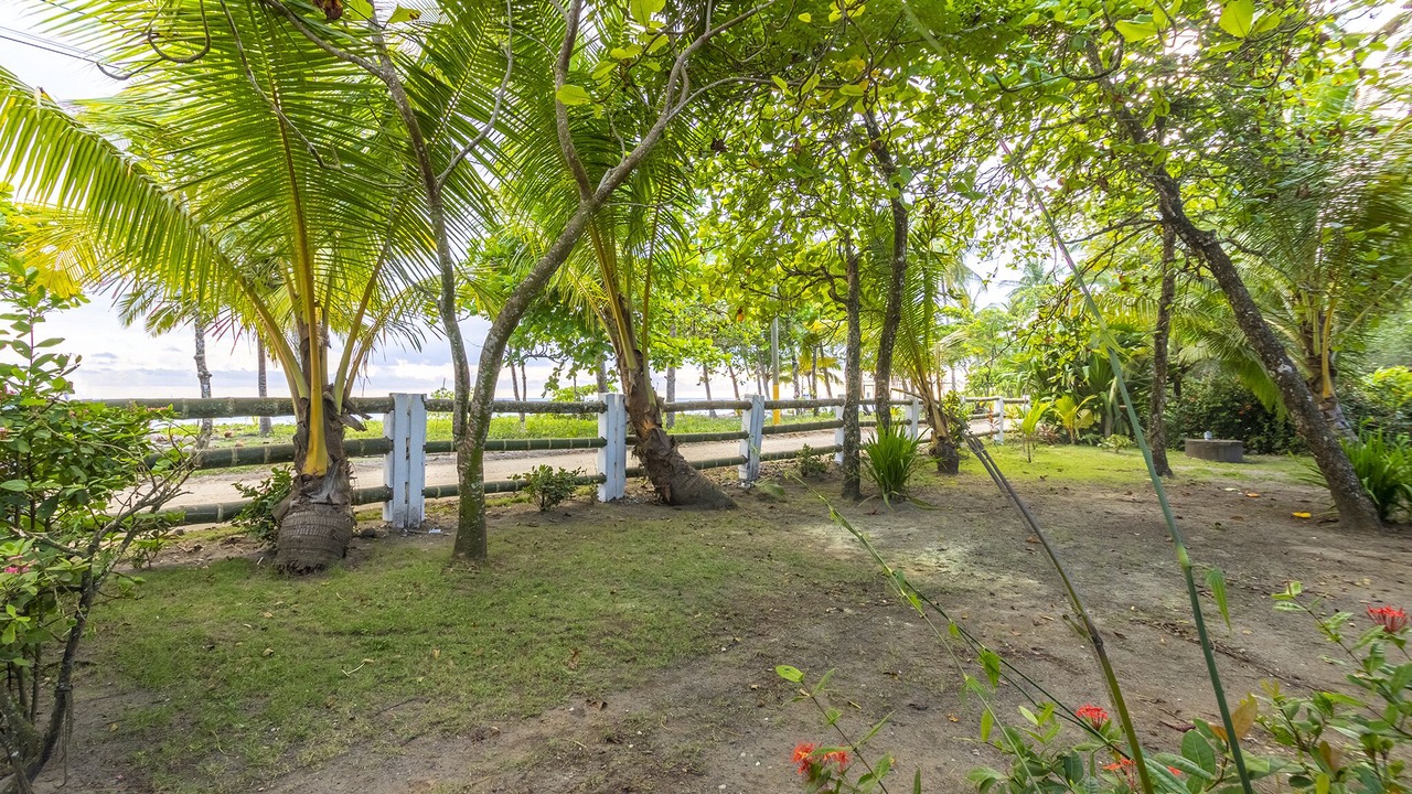 Photo of Outdoor in Esterillos Oeste