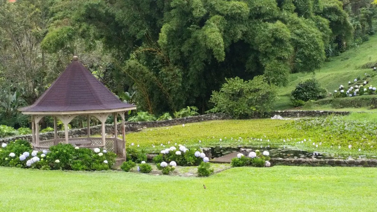 Photo of Outdoor in Santa Cruz de Turrialba