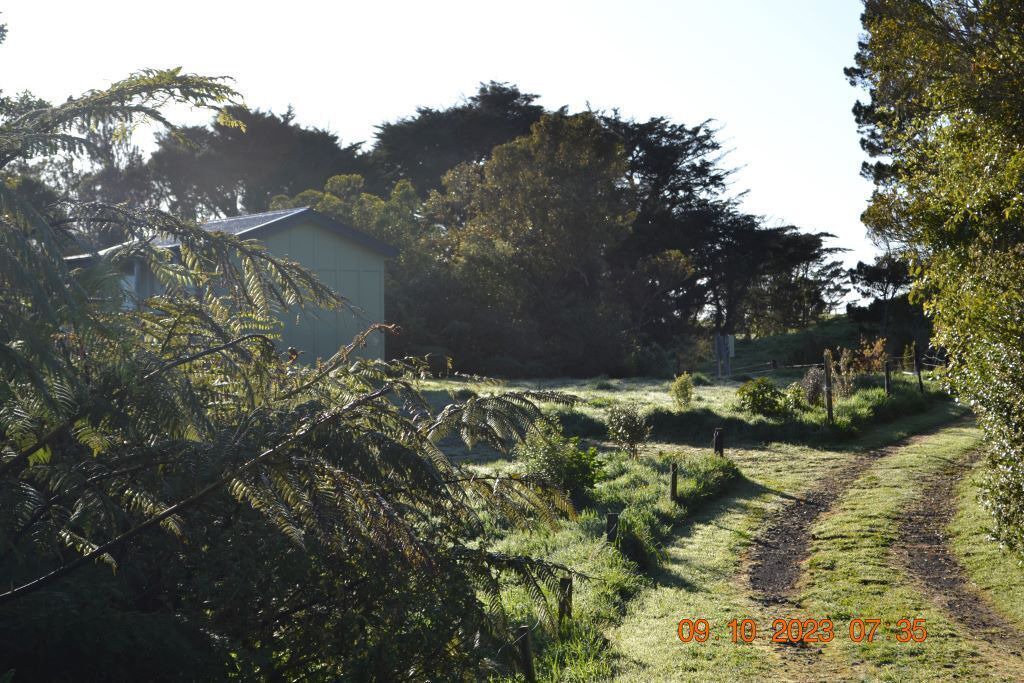Photo of Outdoor in Kaitake