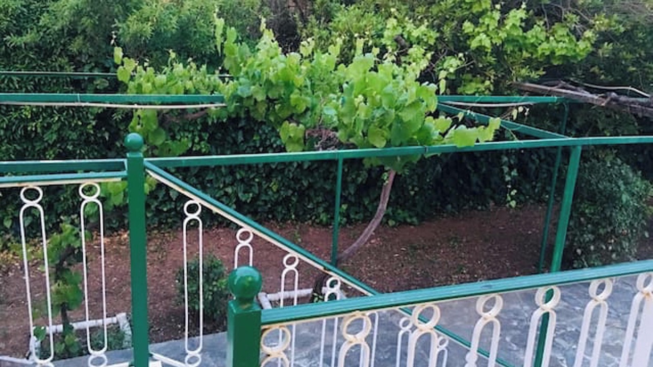 Photo of Outdoor in Tanagra