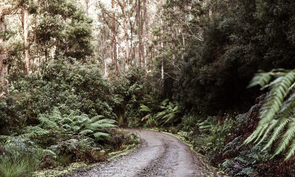 Photo of Outdoor in South Bruny