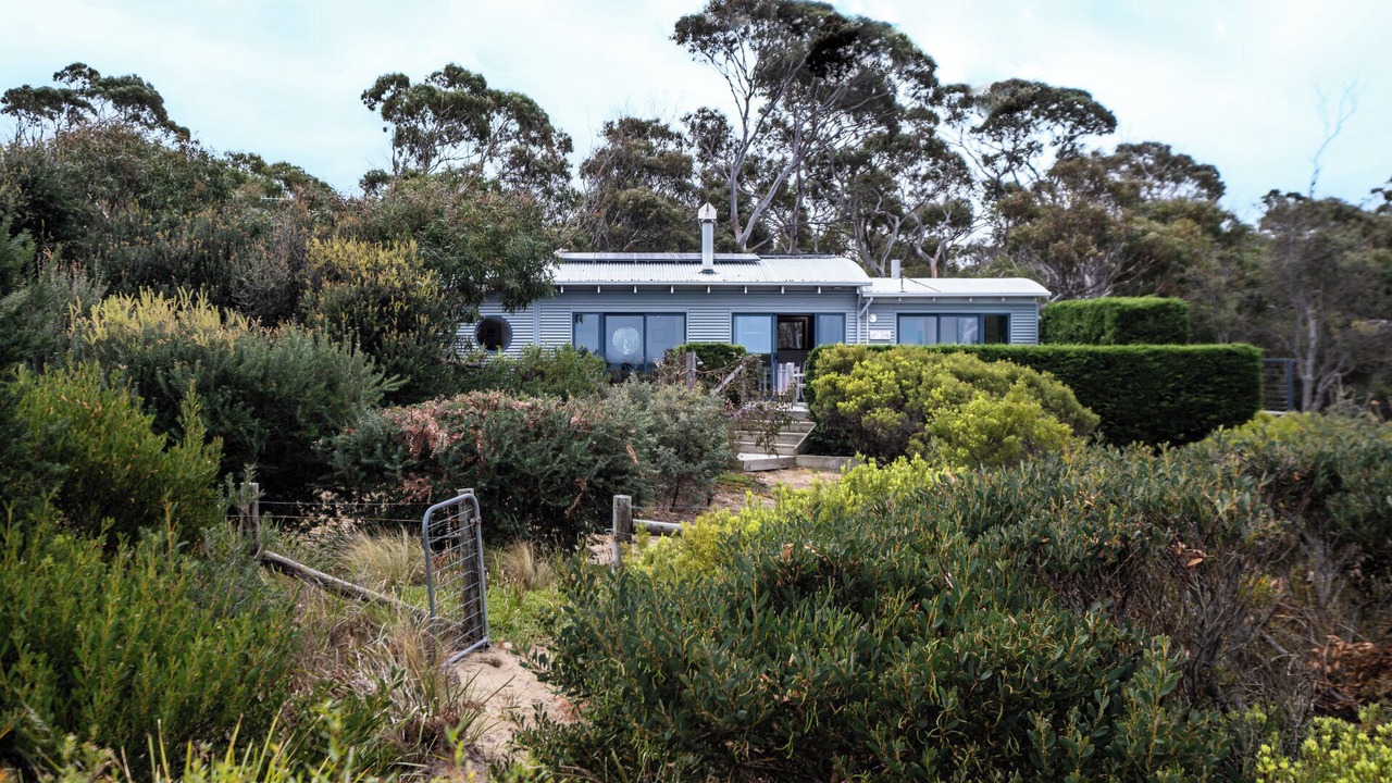 Photo of Outdoor in Dolphin Sands