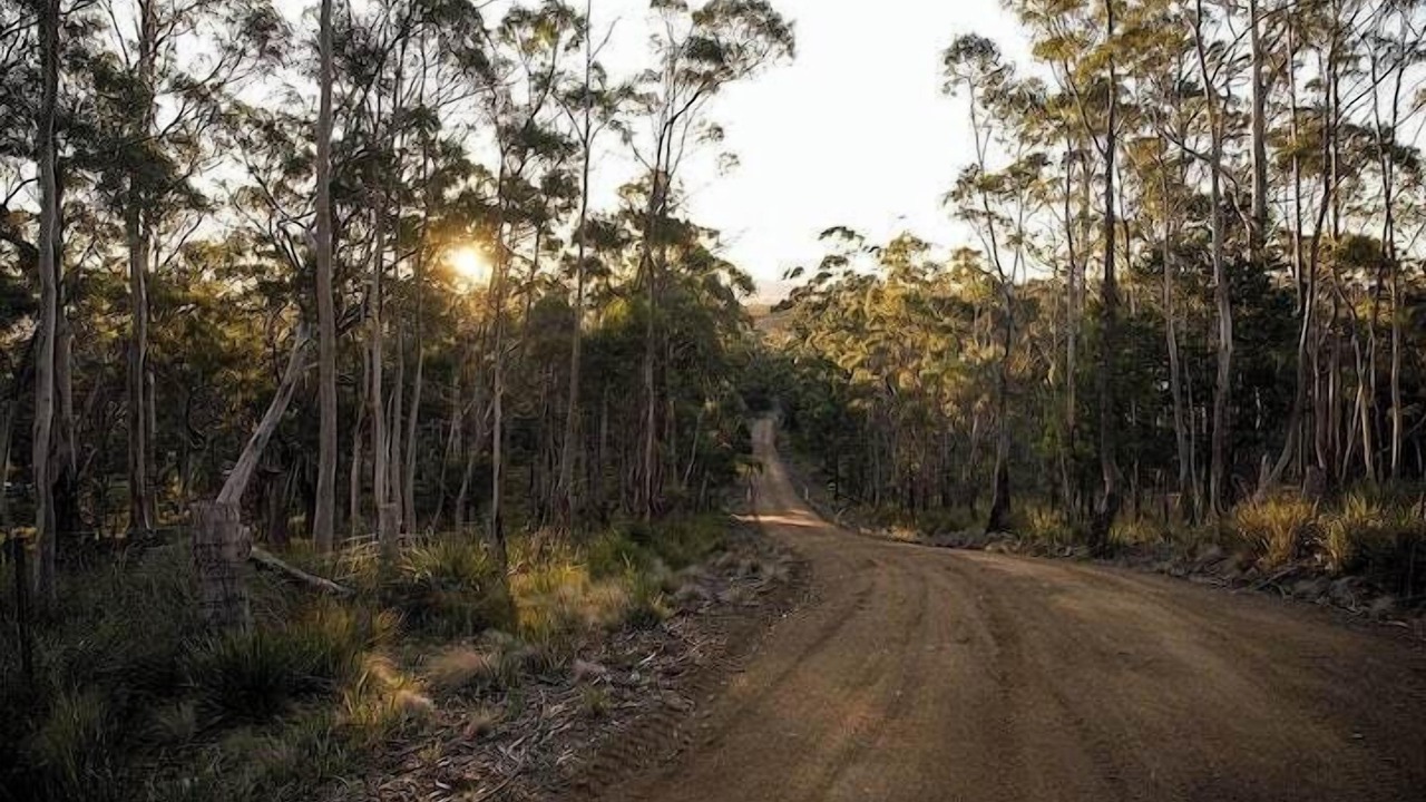 Photo of Others in North Bruny