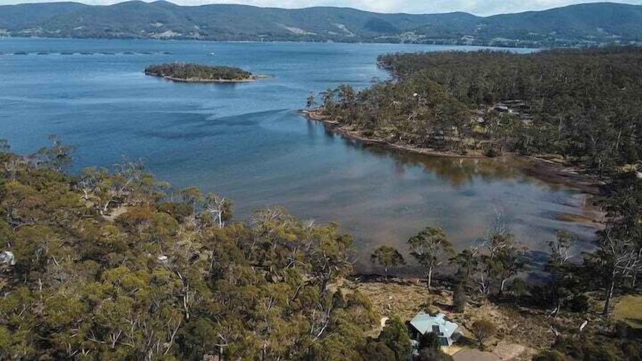 Photo of Others in North Bruny