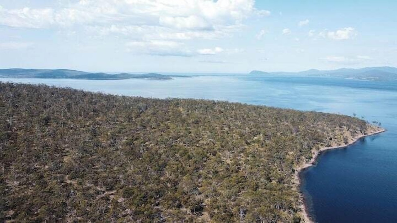 Photo of Others in North Bruny