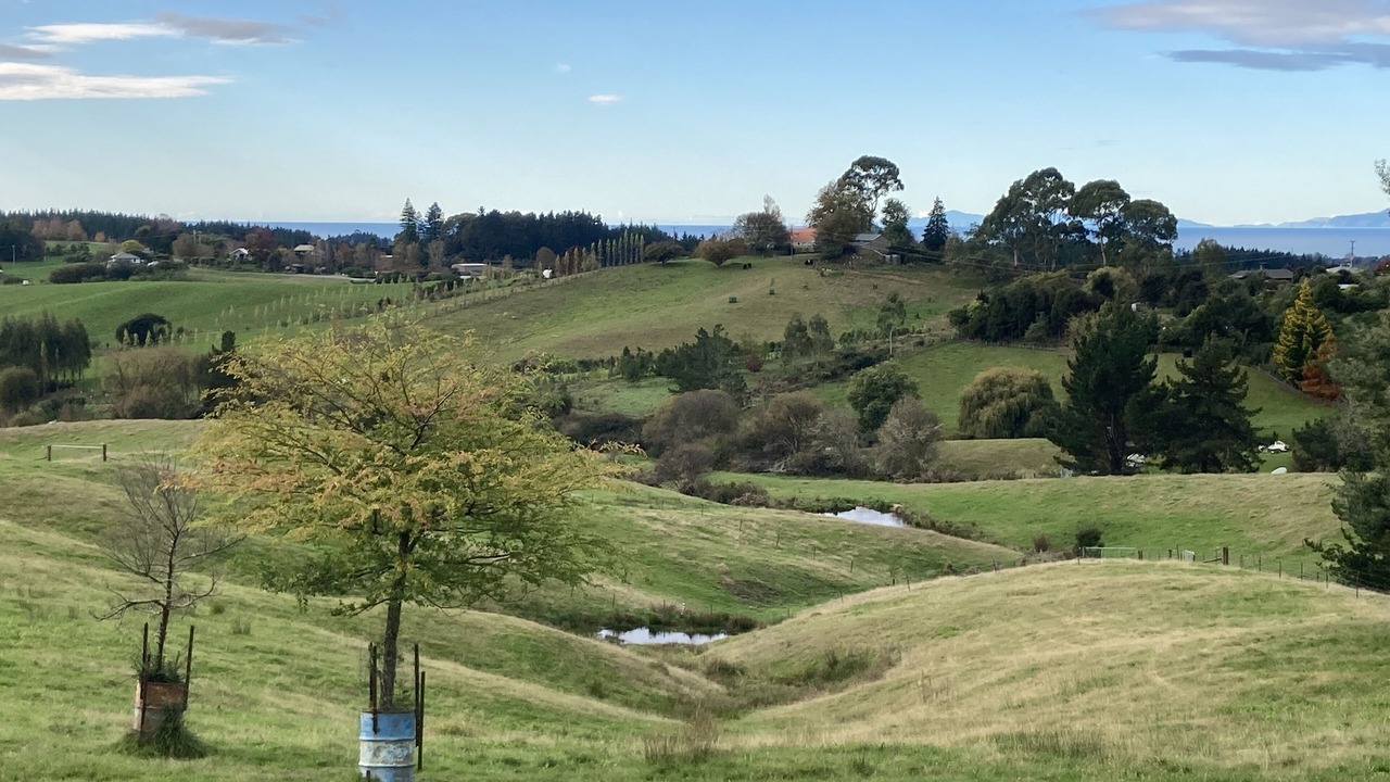 Photo of Others in Upper Moutere
