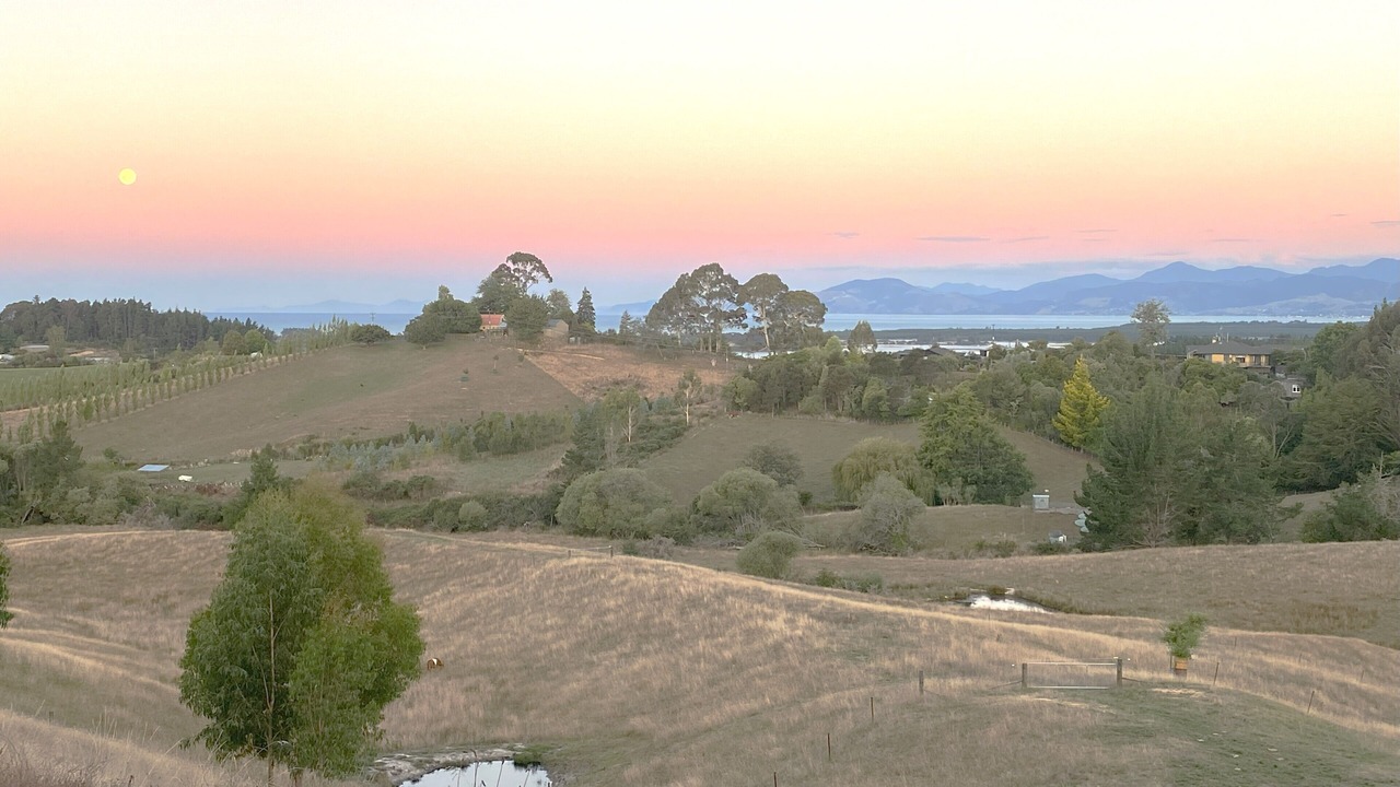 Photo of Others in Upper Moutere
