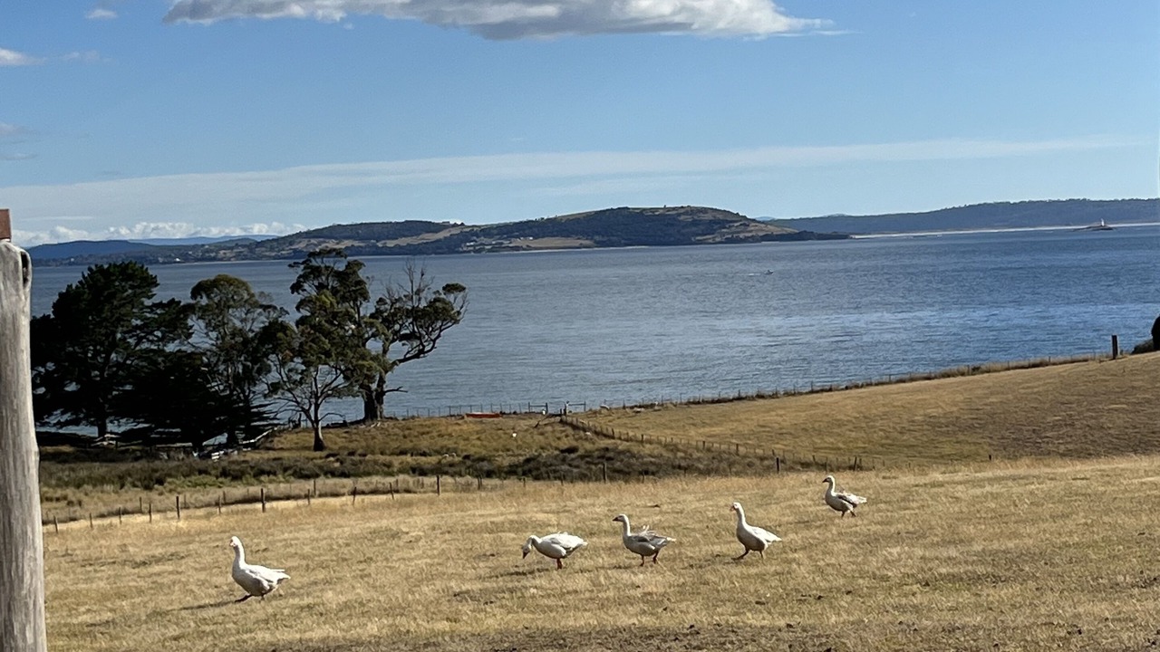 Photo of Outdoor in North Bruny