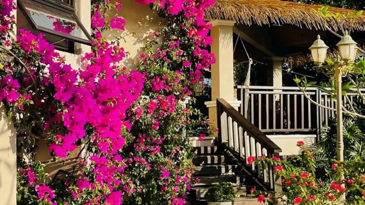 Photo of Outdoor in Esparza