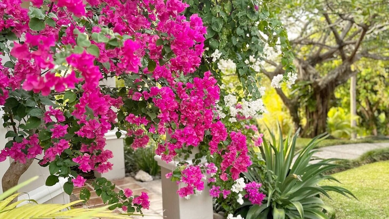 Photo of Outdoor in Esparza