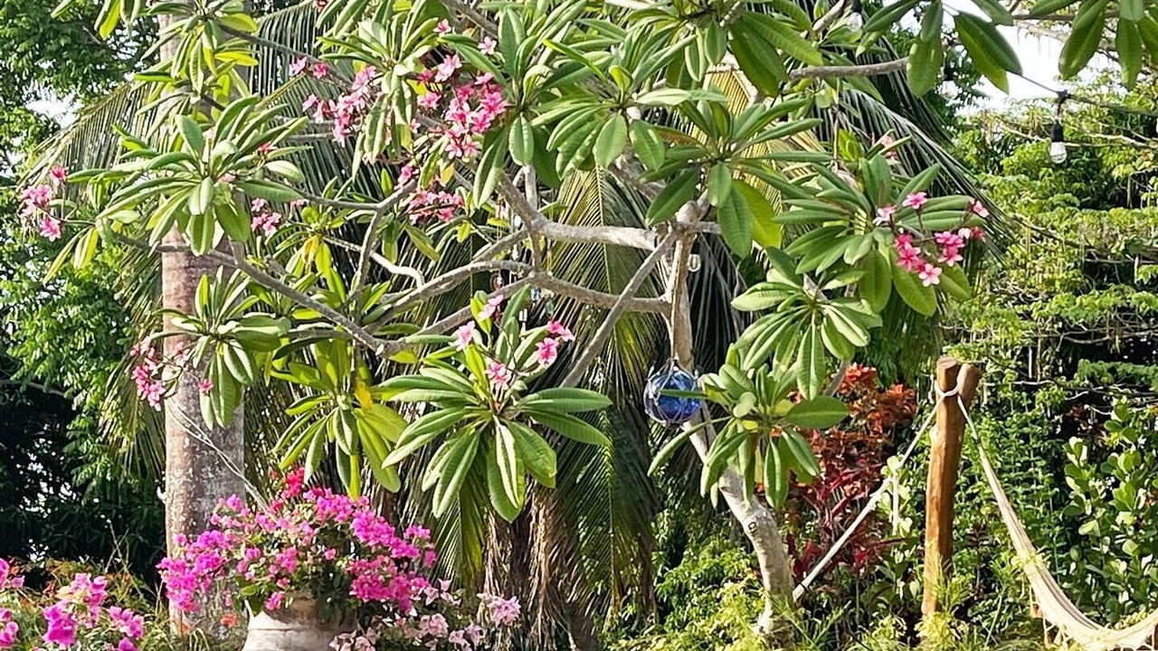 Photo of Outdoor in Esparza