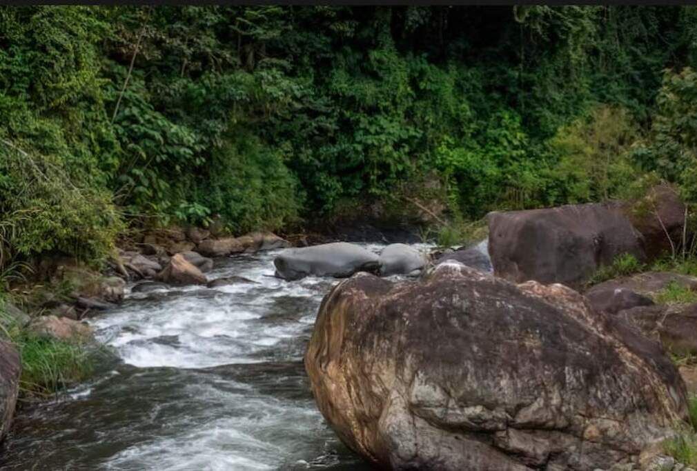 Photo of Outdoor in Rivas