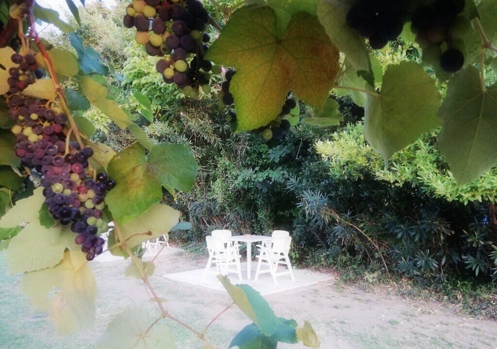 Photo of Outdoor in Olympiada