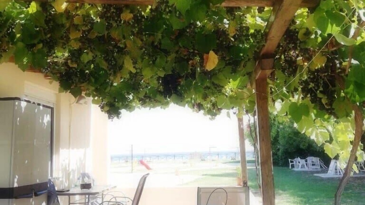 Photo of Outdoor in Olympiada