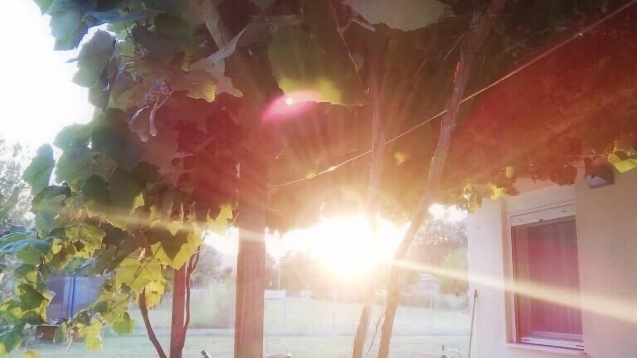 Photo of Outdoor in Olympiada