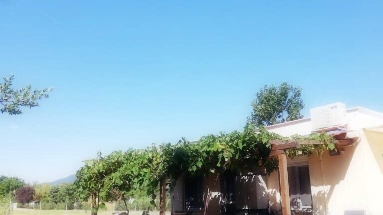 Photo of Outdoor in Olympiada
