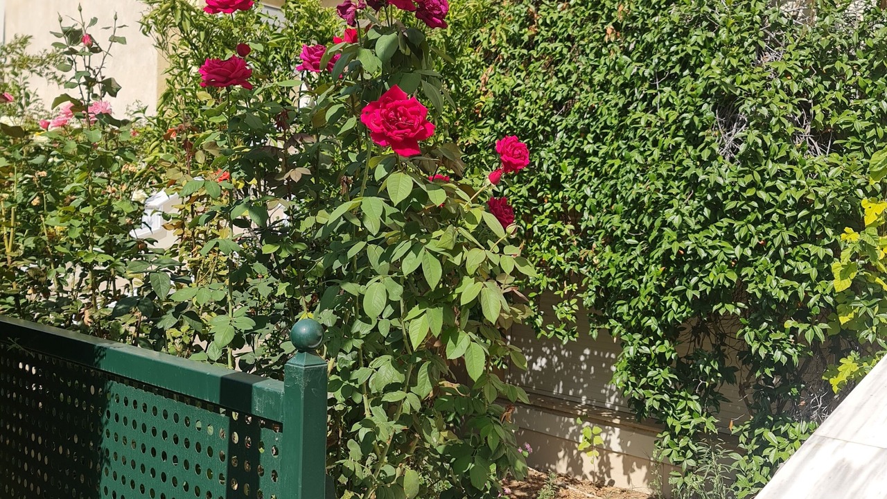 Photo of Outdoor in Irakleio