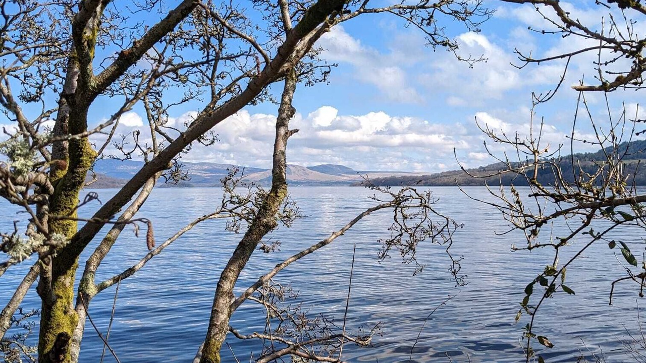 Photo of Others in Alexandria