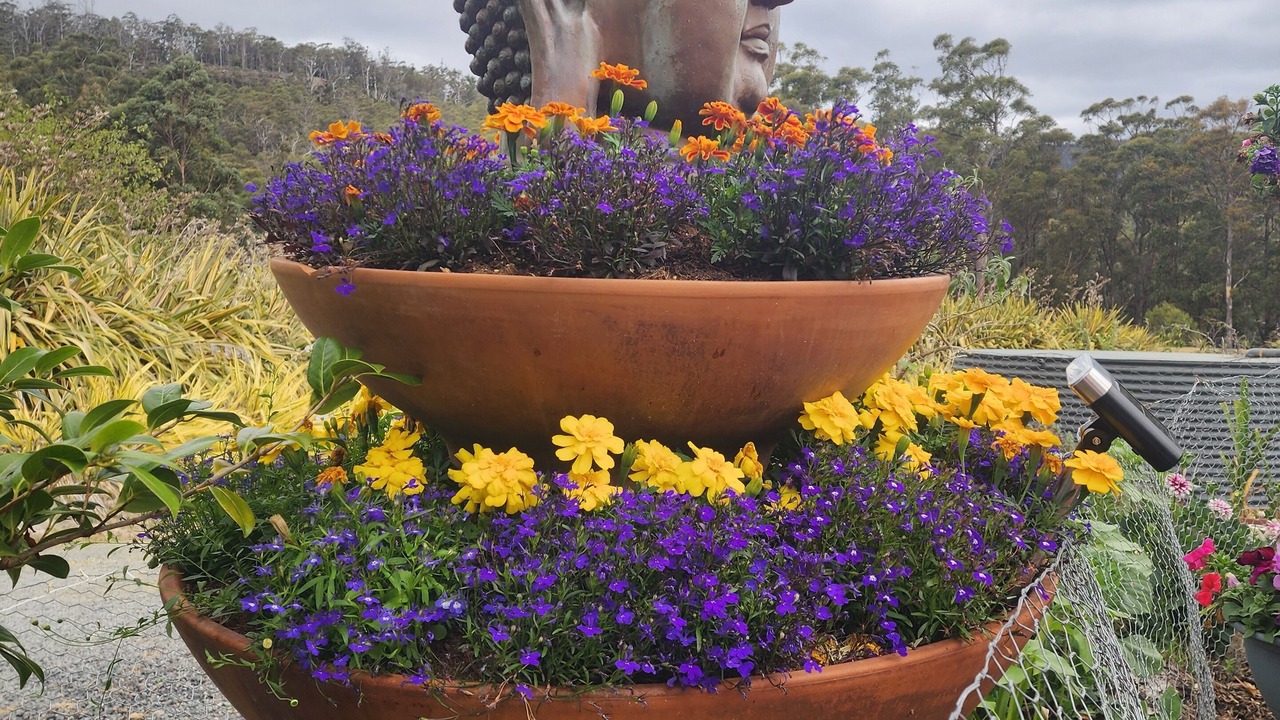 Photo of Others in Southern