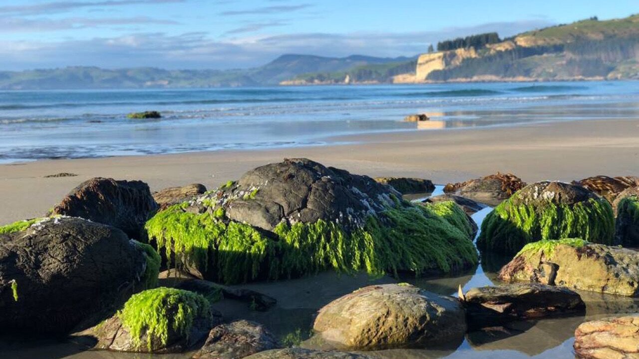 Photo of Others in Otago