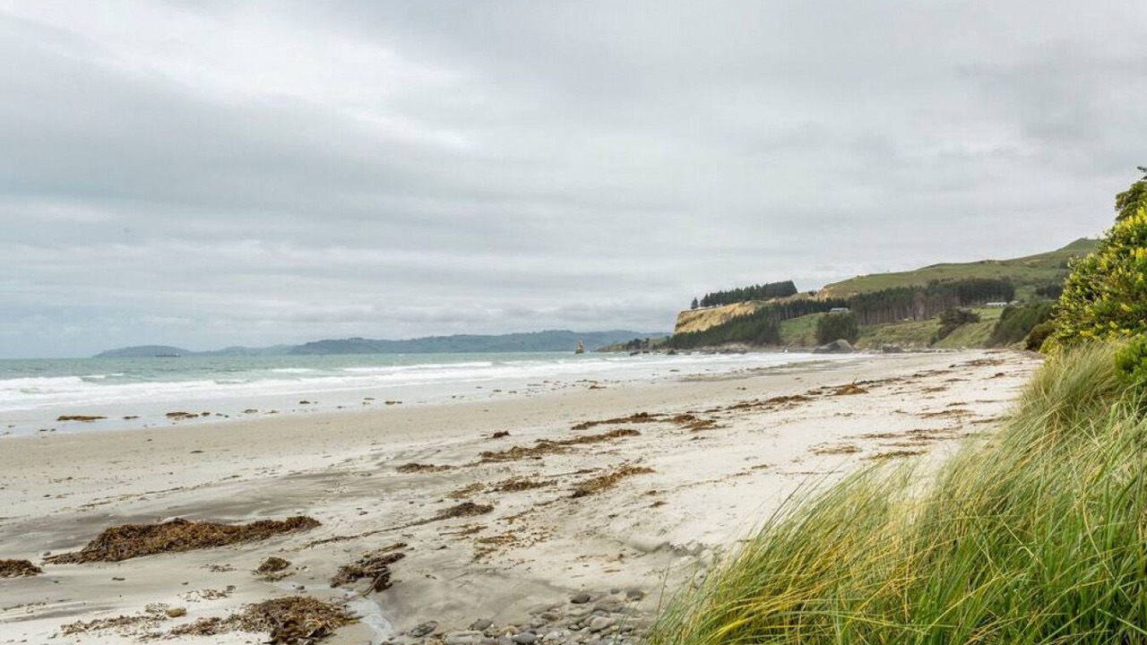 Photo of Others in Otago