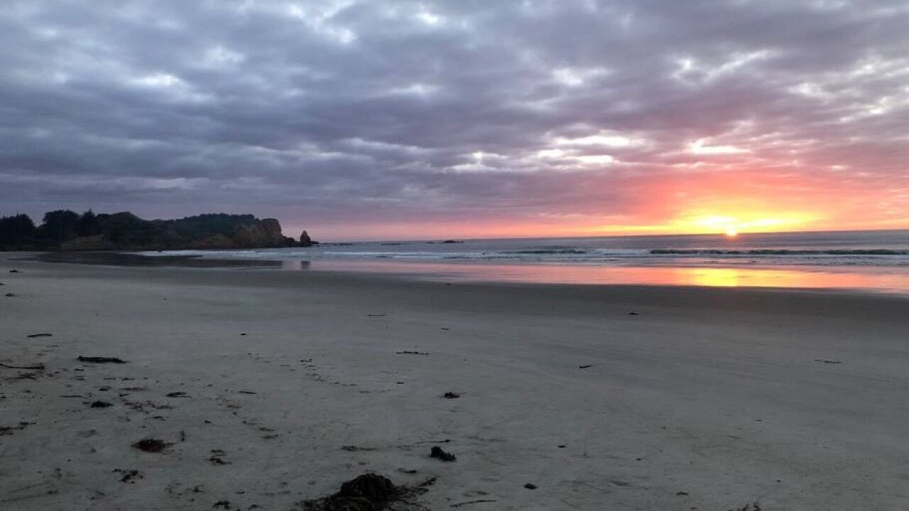 Photo of Others in Otago