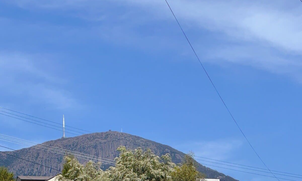 Photo of Others in South Hobart