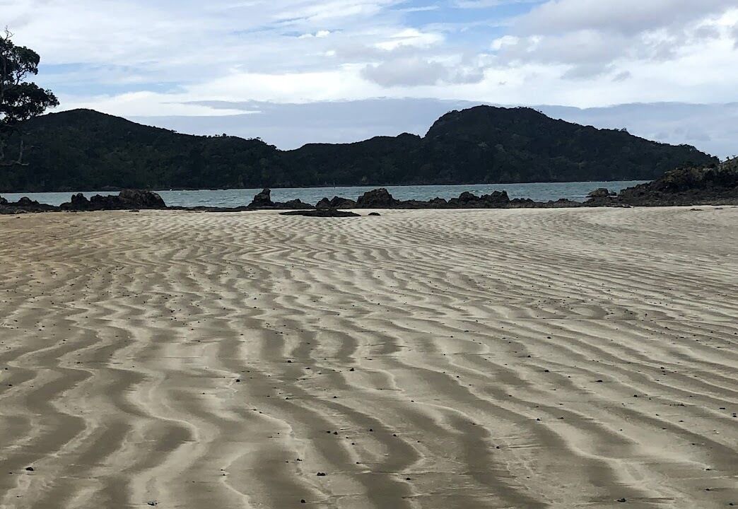 Photo of Others in Oakura