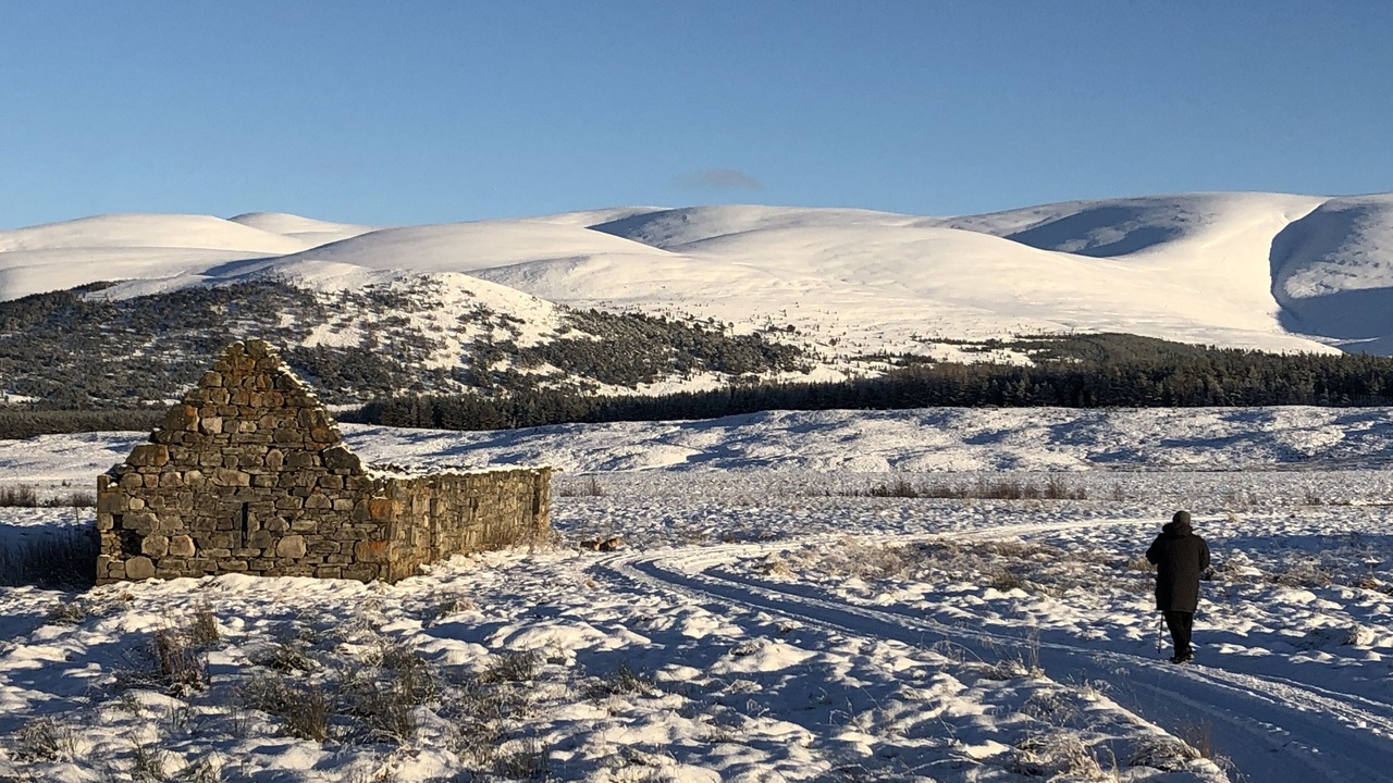 Photo of Others in Kingussie