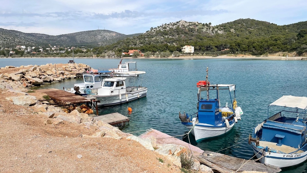 Photo of Others in Salamis