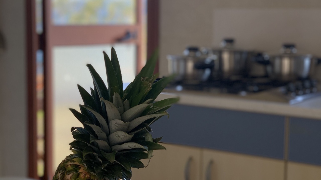 Photo of Kitchen in Kounelion