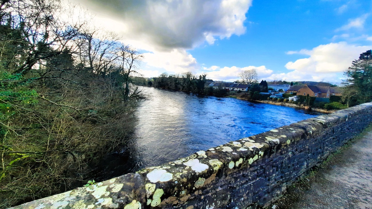 Photo of Others in Castle Douglas