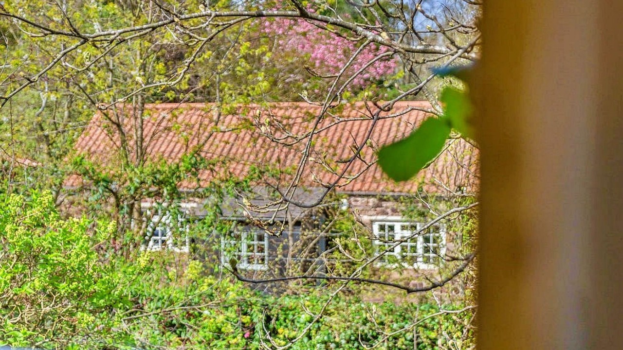 Photo of Outdoor in East Linton