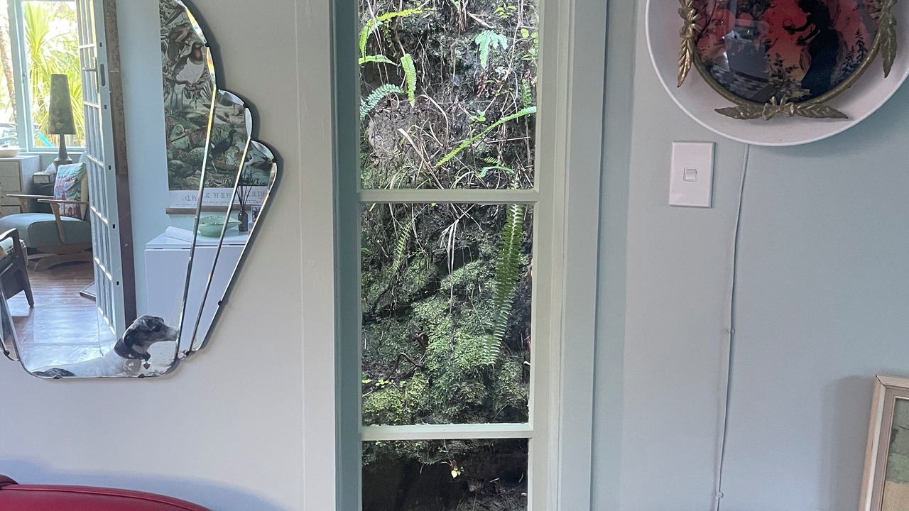 Photo of Others in Piha