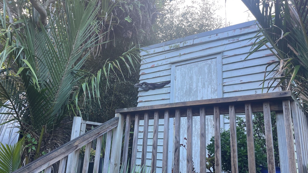 Photo of Others in Piha